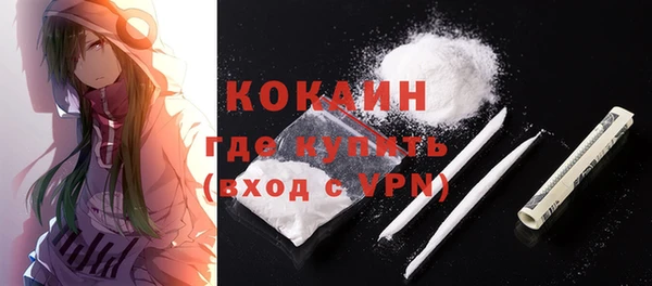 ГАЛЛЮЦИНОГЕННЫЕ ГРИБЫ Козловка