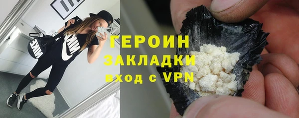 гидра Кодинск