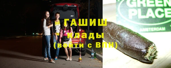 гидра Кодинск