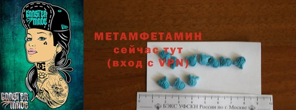 ГАЛЛЮЦИНОГЕННЫЕ ГРИБЫ Козловка