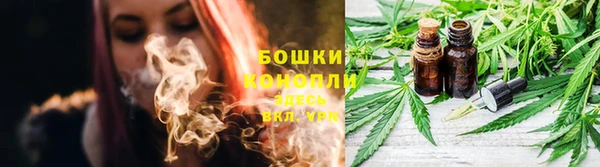 ГАЛЛЮЦИНОГЕННЫЕ ГРИБЫ Козловка