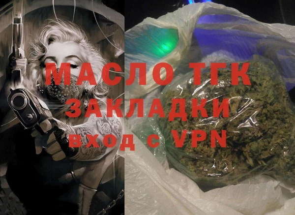 гидра Кодинск