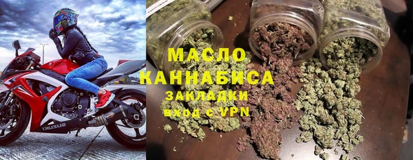 гидра Кодинск