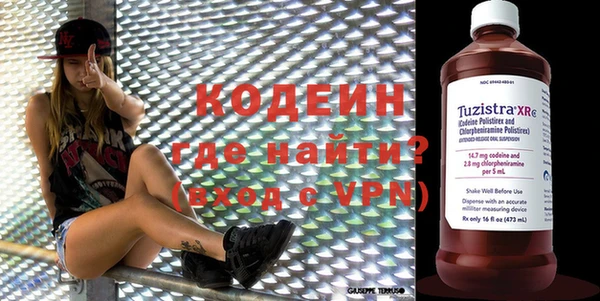 ГАЛЛЮЦИНОГЕННЫЕ ГРИБЫ Козловка