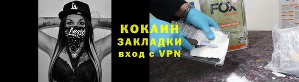 ГАЛЛЮЦИНОГЕННЫЕ ГРИБЫ Козловка