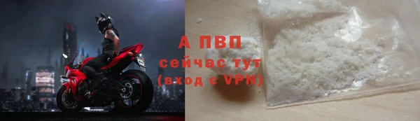 ПСИЛОЦИБИНОВЫЕ ГРИБЫ Козельск