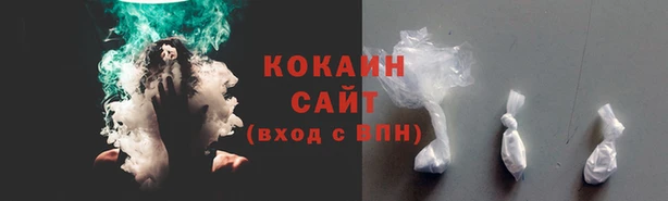 гидра Кодинск