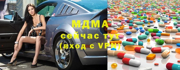 гидра Кодинск