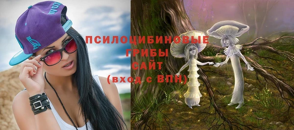 гидра Кодинск