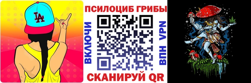 Купить закладки  Кувшиново  Псилоцибиновые грибы Magic Shrooms 